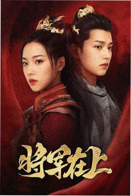 年度高分剧集盘点